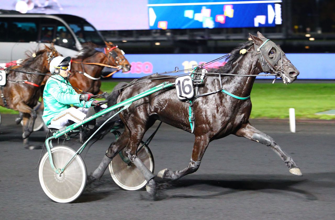 Arrivée du quinté du vendredi 8 novembre à Vincennes : Déesse Noire double la mise - Le Parisien