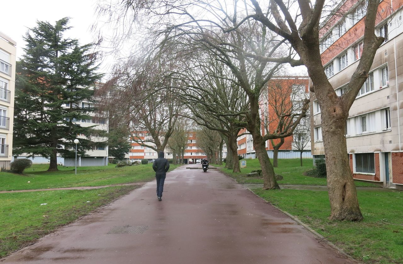 Pontault-Combault : jusqu’à trois ans et demi de prison pour les trafiquants - Le Parisien