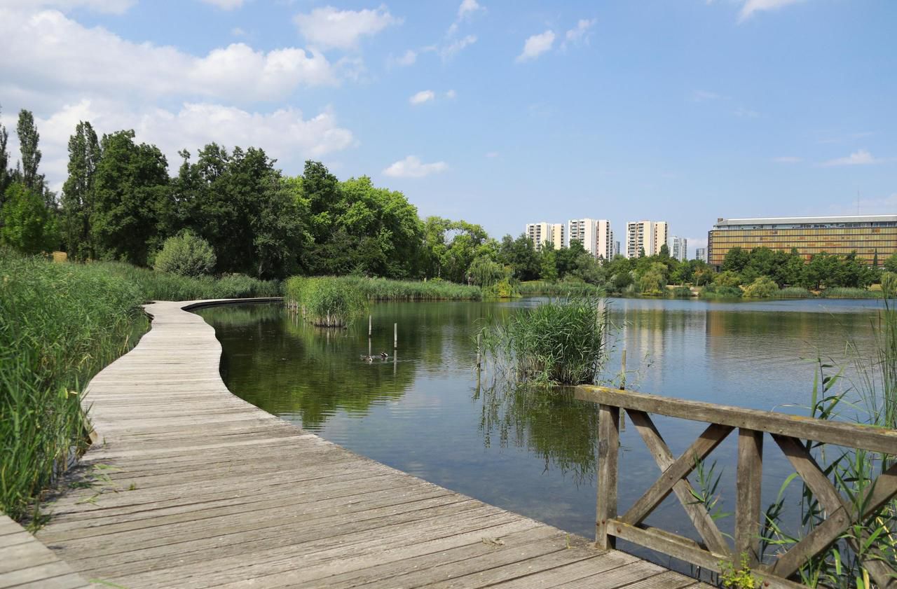 50 Parcs Et Jardins Dans Le Val D'oise Coronavirus dans le Val-de-Marne : les lieux de promenade interdits au