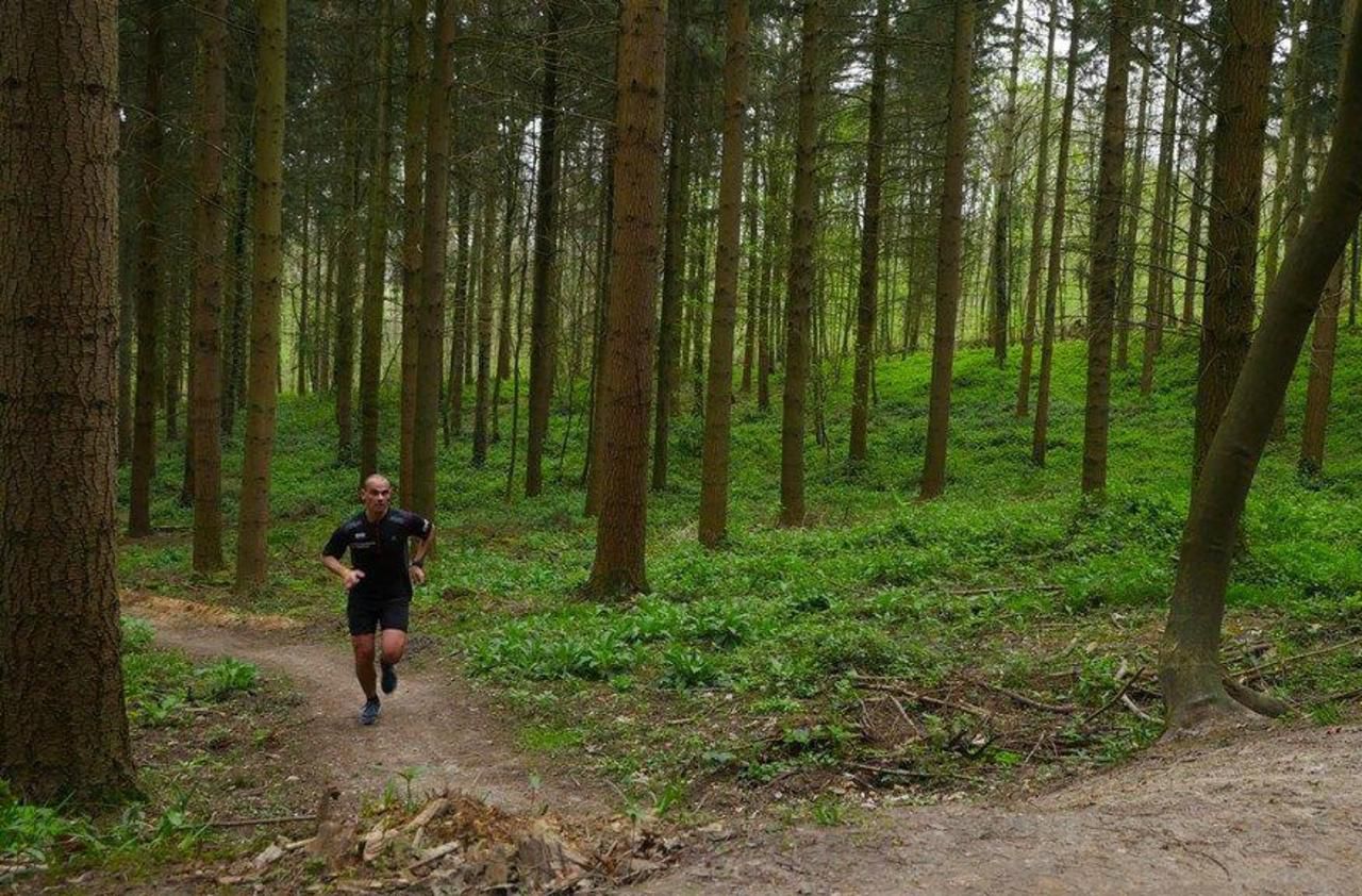 Ou Se Balader Dans Le Val D'oise Val-d’Oise : 700 coureurs attendus pour le premier trail en forêt de