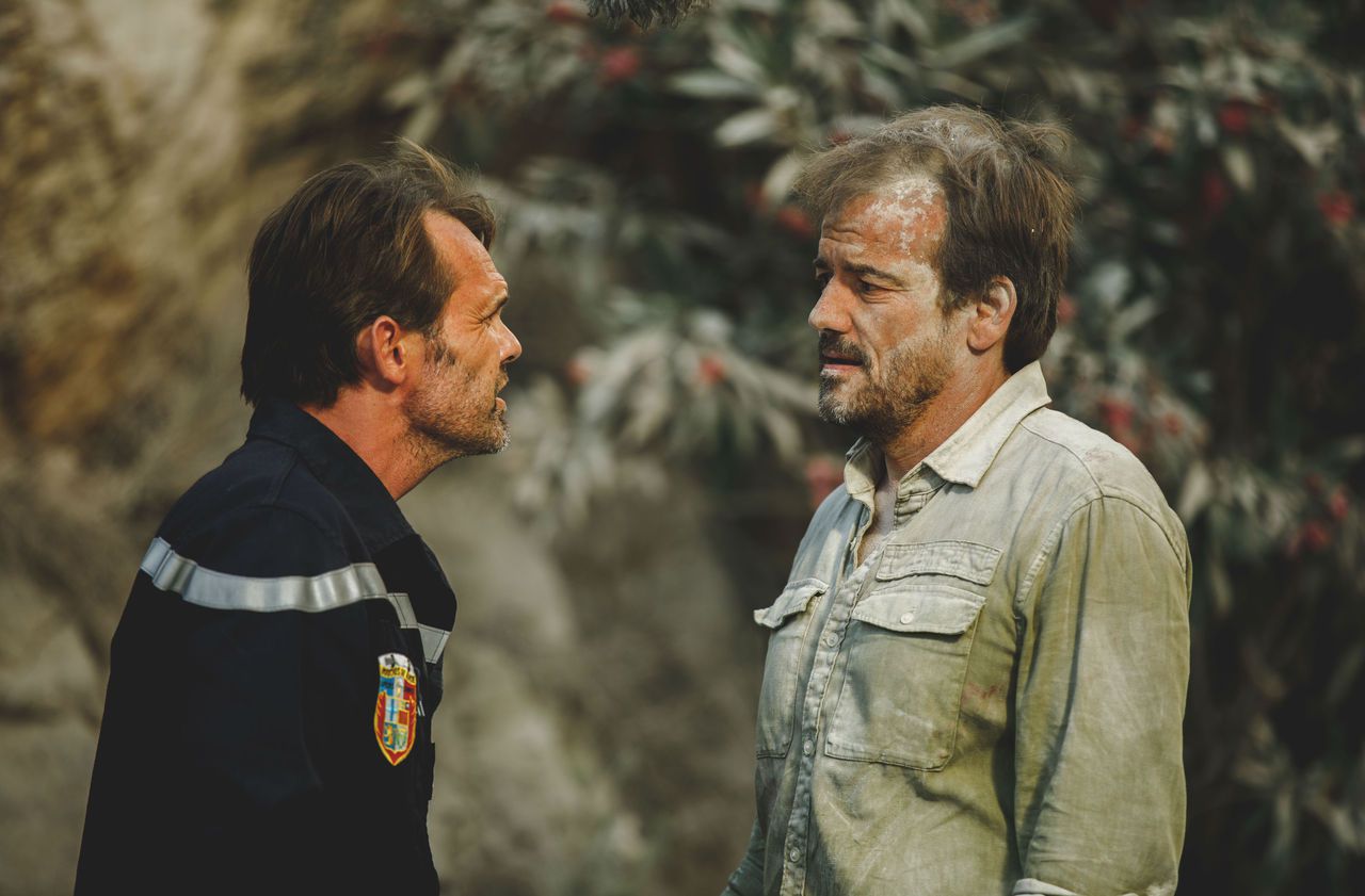 Audiences TV «Plus belle la vie»