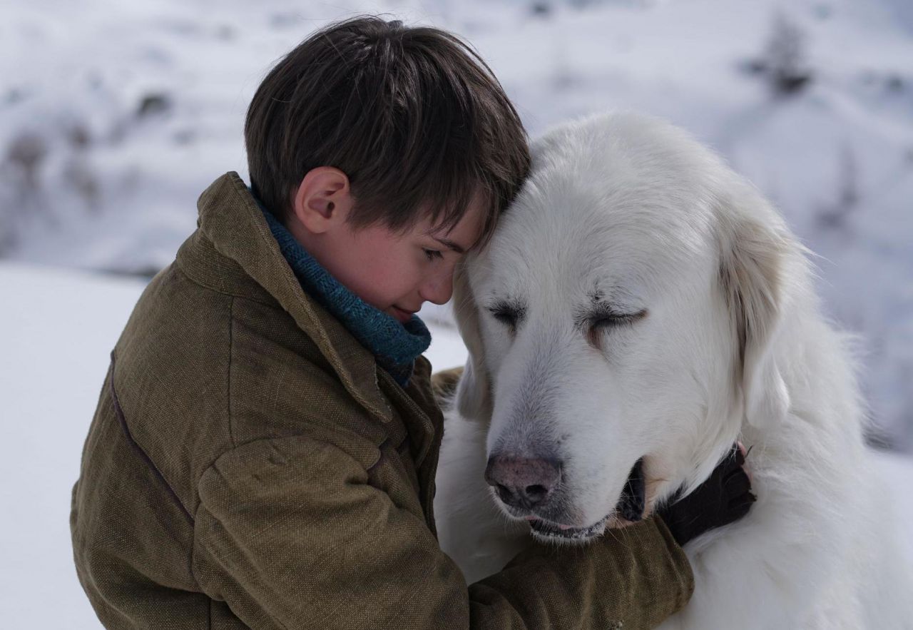 Films Et Séries Tv Avec Sébastien Desjours «Belle et Sébastien 3» : Belle est en danger - Le Parisien