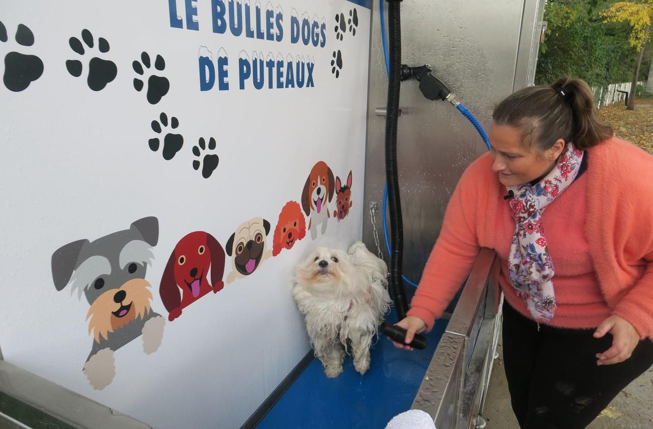A Puteaux, une station de lavage pour chiens en libre-service - Le Parisien