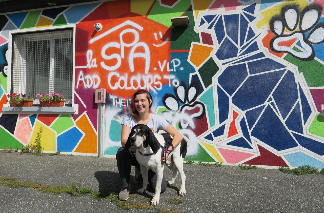 Refuge Pour Animaux En Seine Et Marne Les refuges de Seine-et-Marne surchargés par les animaux abandonnés