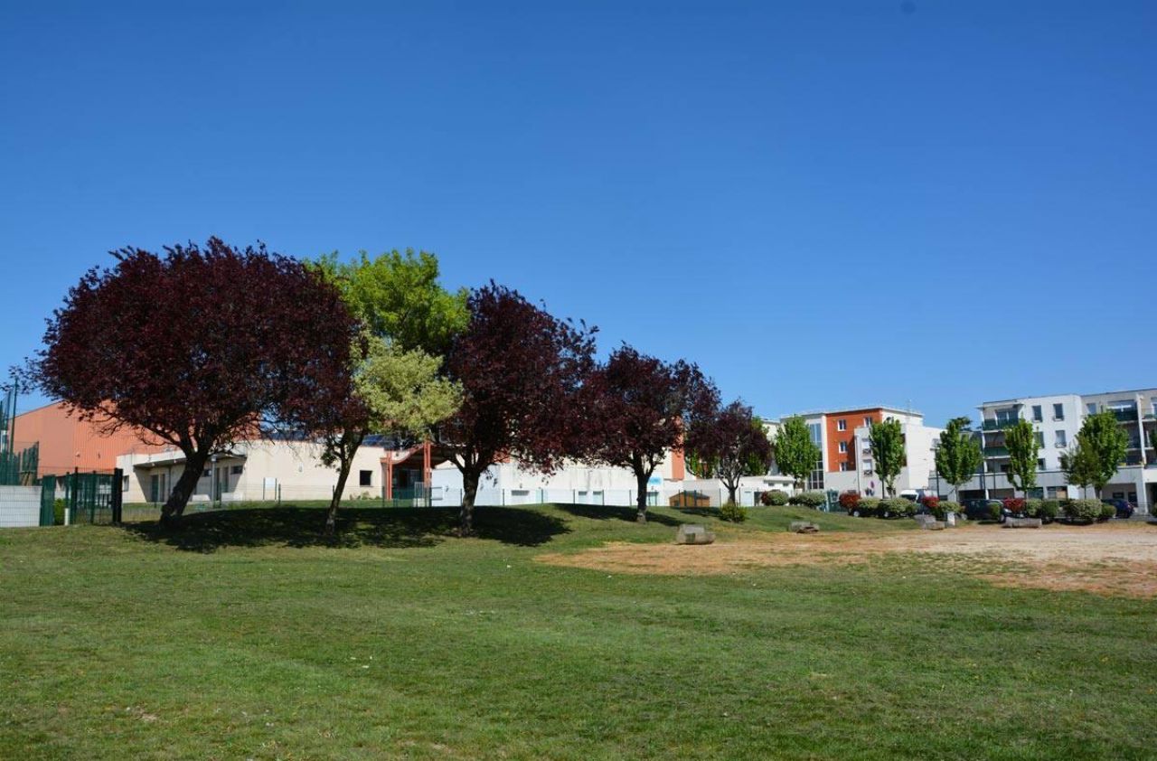 Le Bon Coin Saint Leu La Foret