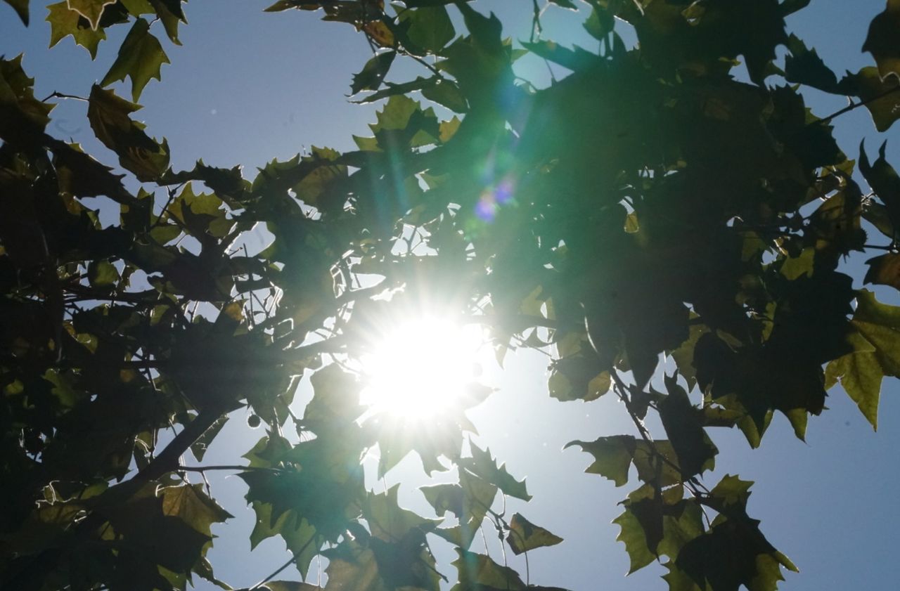 weather-ten-months-of-heat-record-in-france-the-limited-times