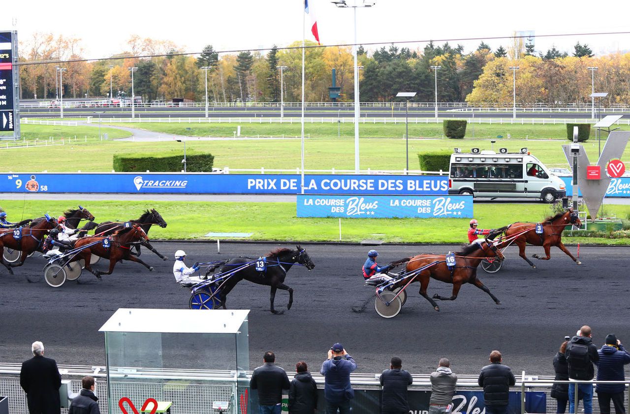 Arrivée du quinté du jeudi 14 novembre à Vincennes : une première pour Caliu des Bosc - Le Parisien