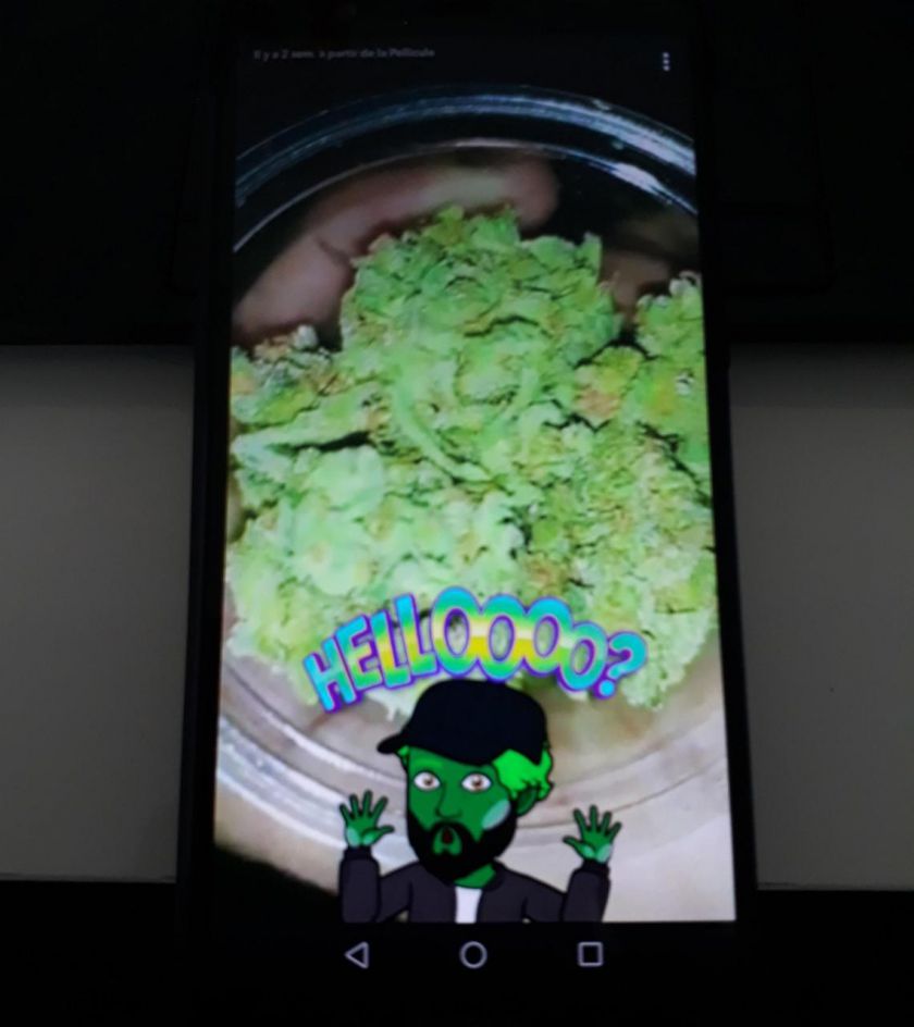 Ile-de-France : la drogue commandée sur Snapchat était livrée à Ile-de-France : la drogue commandée sur Snapchat était livrée à
