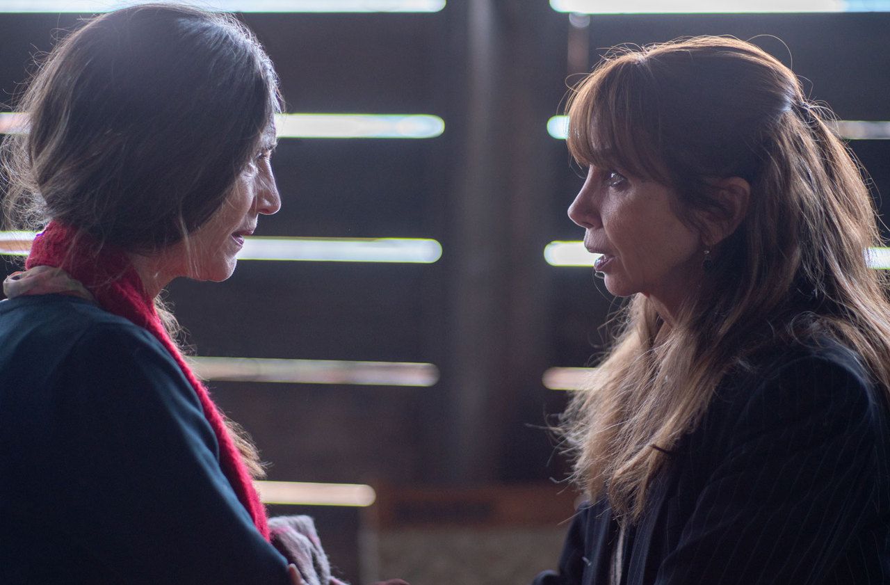 Le Chant Du Loup Amazon Prime «The L Word : Generation Q», «le Chant du loup»… les séries et films à