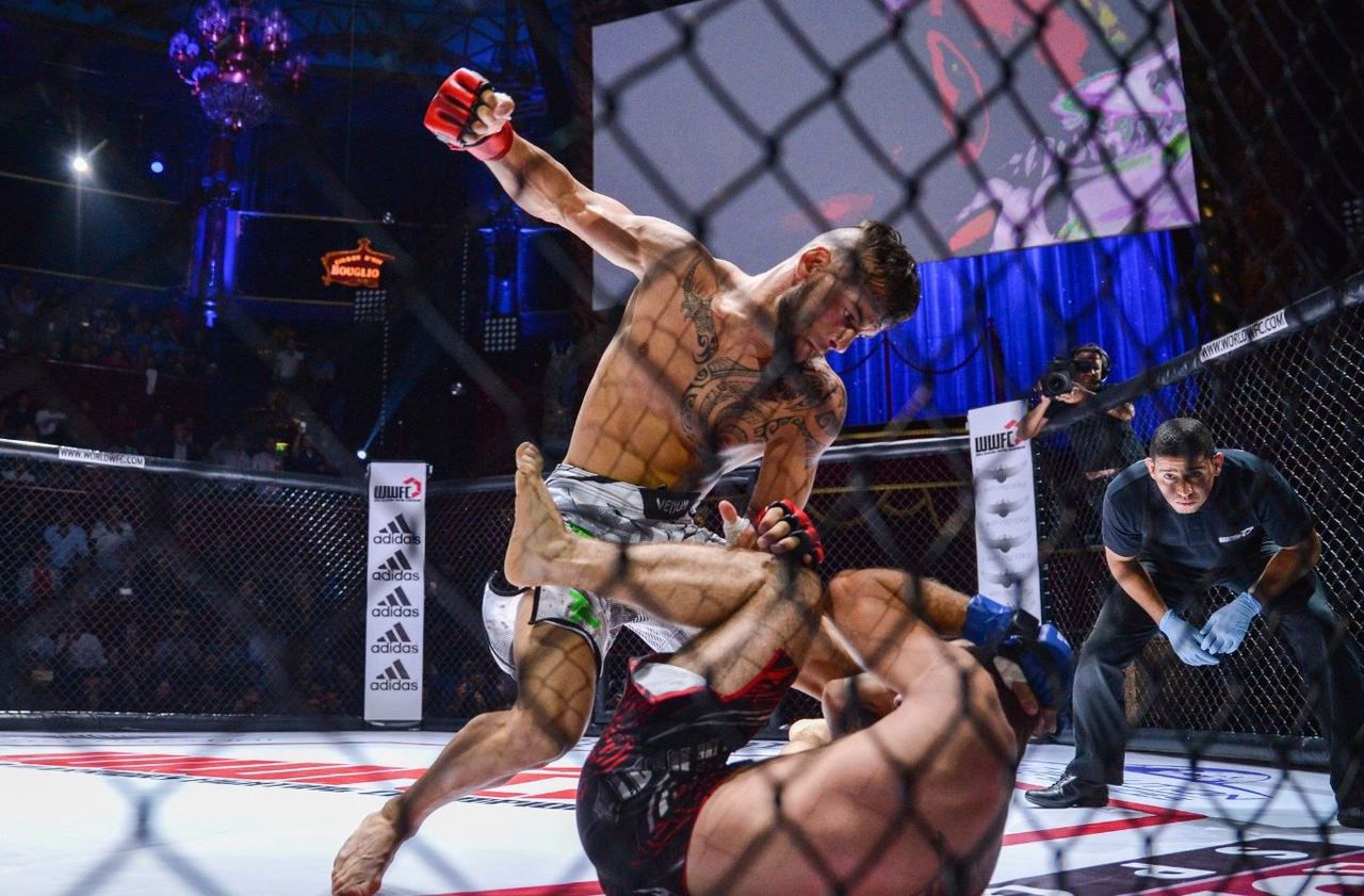MMA : le ministère repousse l’arrivée du sport de combat en France - Le Parisien