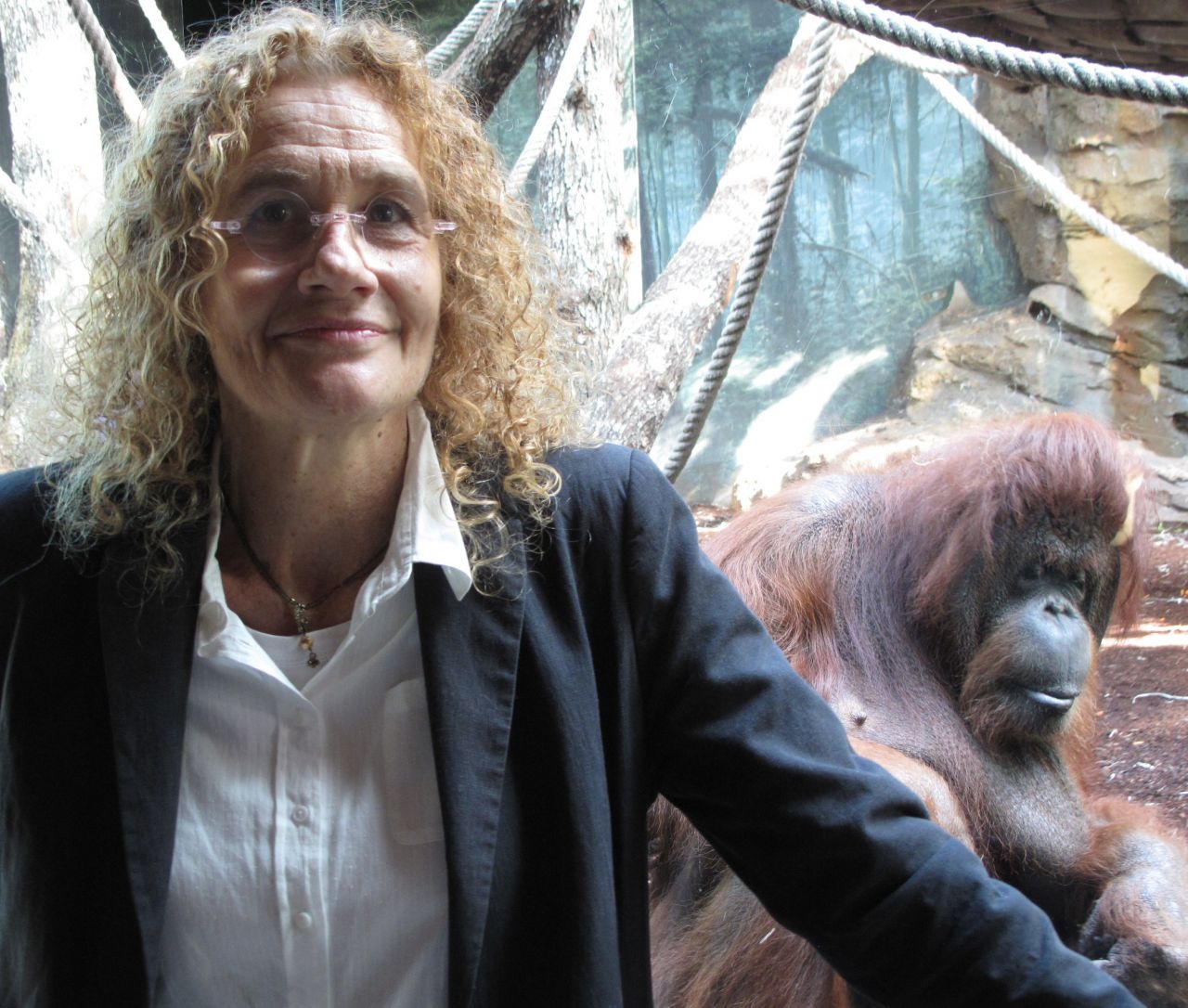 Enquete Sur Un Scandale D'etat Netflix « Un scandale pour un zoo d'Etat ! » - Le Parisien