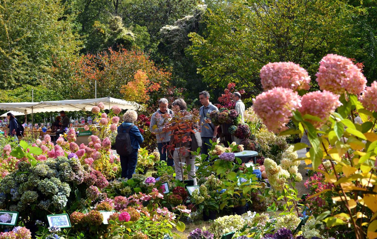 sortir-dans-le-91-une-f-te-des-plantes-qui-sent-bon-l-automne-le
