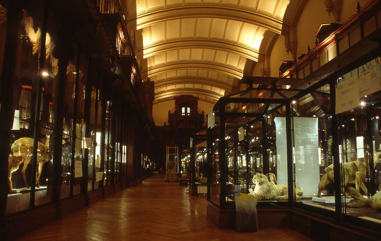 Paris 15 millions de personnes ont