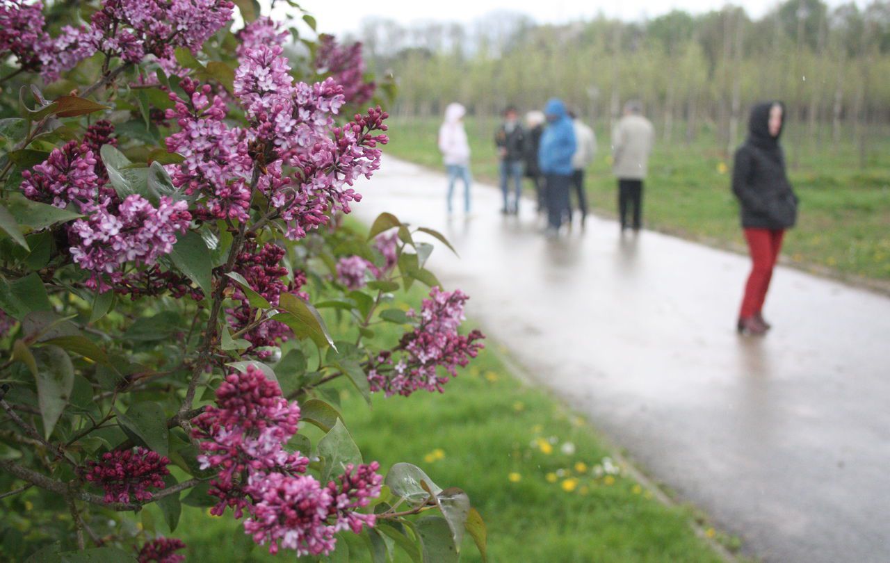 MandreslesRoses suivez le guide à la pépinière départementale Le