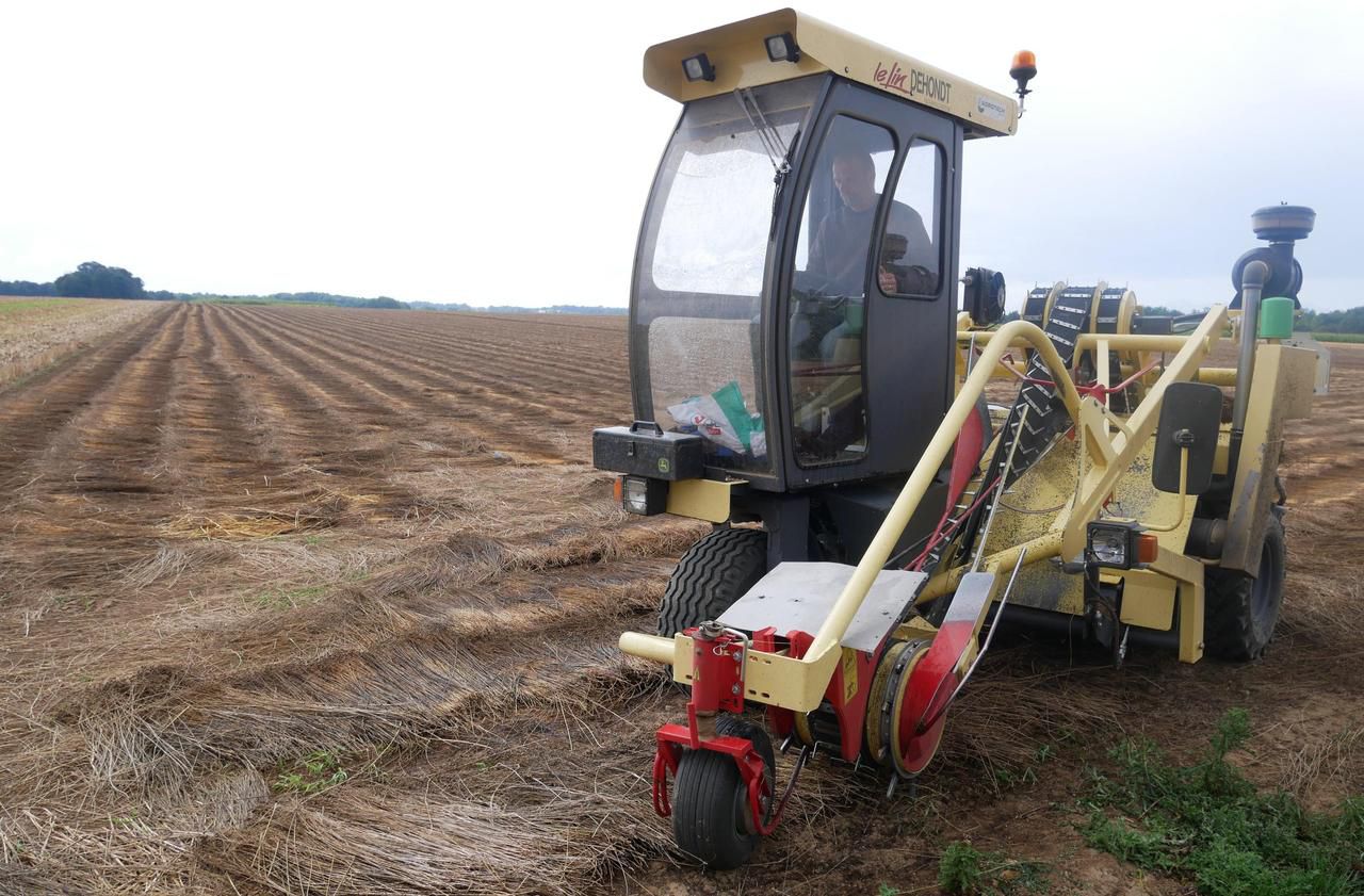 Agriculture desperately looking for tractor drivers, cowherds, farm
