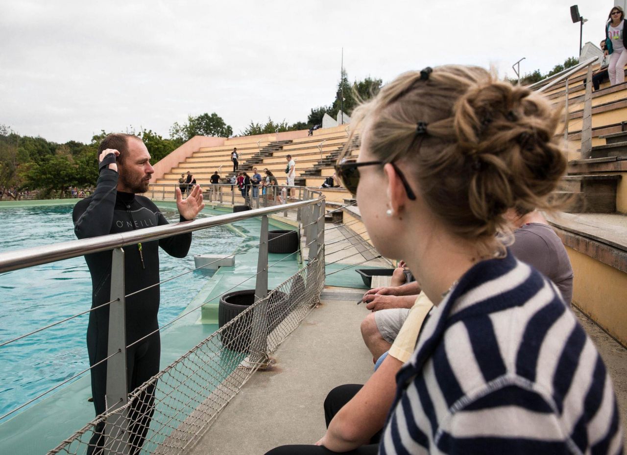 rencontre avec les dauphins planete sauvage