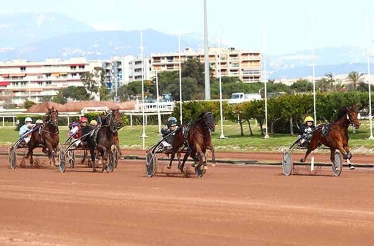 L Ile Aux Cotillons Cagnes Sur Mer