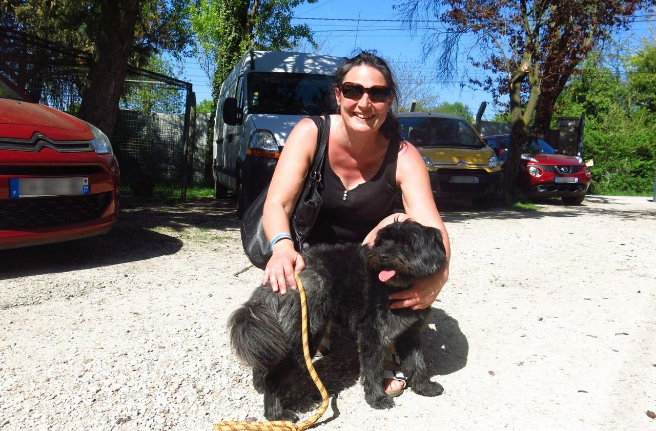 Villevaudé le refuge pour chiens et chats attire les