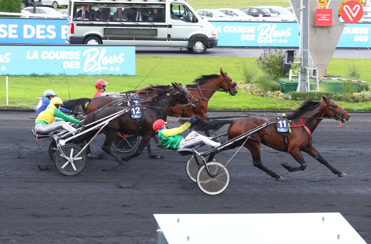 PMU - Arrivée du quinté du dimanche 17 novembre à Vincennes : Comme l’an dernier, Davidson du Pont remporte le Prix de Bretagne - Le Parisien