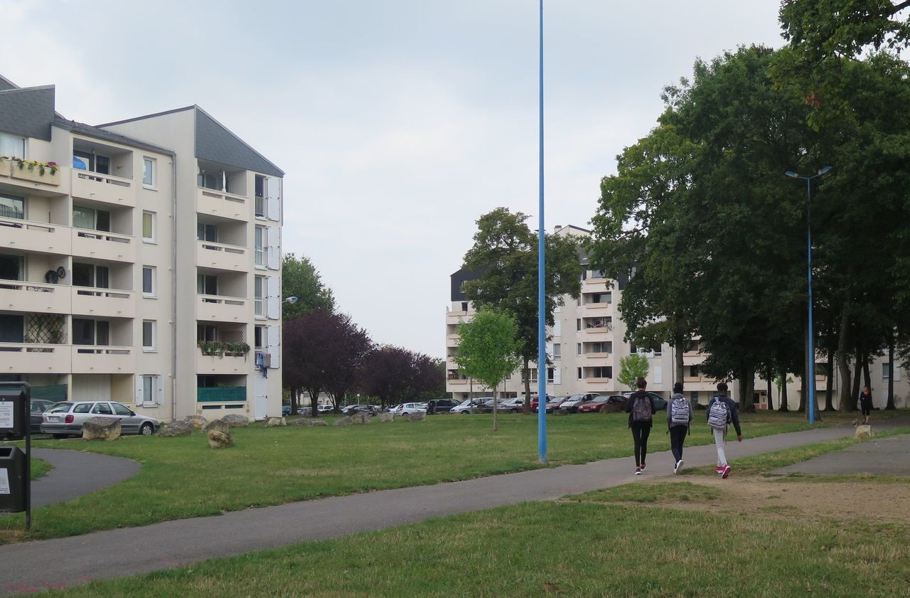 Emploi : les chantiers de rénovation des Terriers à Pont-Sainte-Maxence ont  besoin de vous - Le Parisien