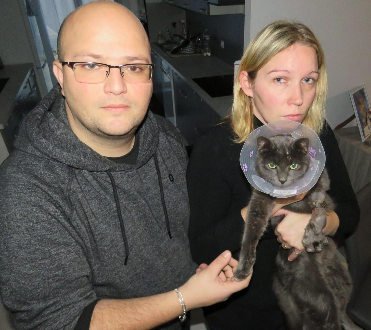 Coulommiers Leur Chat Gravement Blesse Par Un Piege Interdit Depuis 1995 Le Parisien Coulommiers Leur Chat Gravement Blesse Par Un Piege Interdit Depuis 1995 Le Parisien