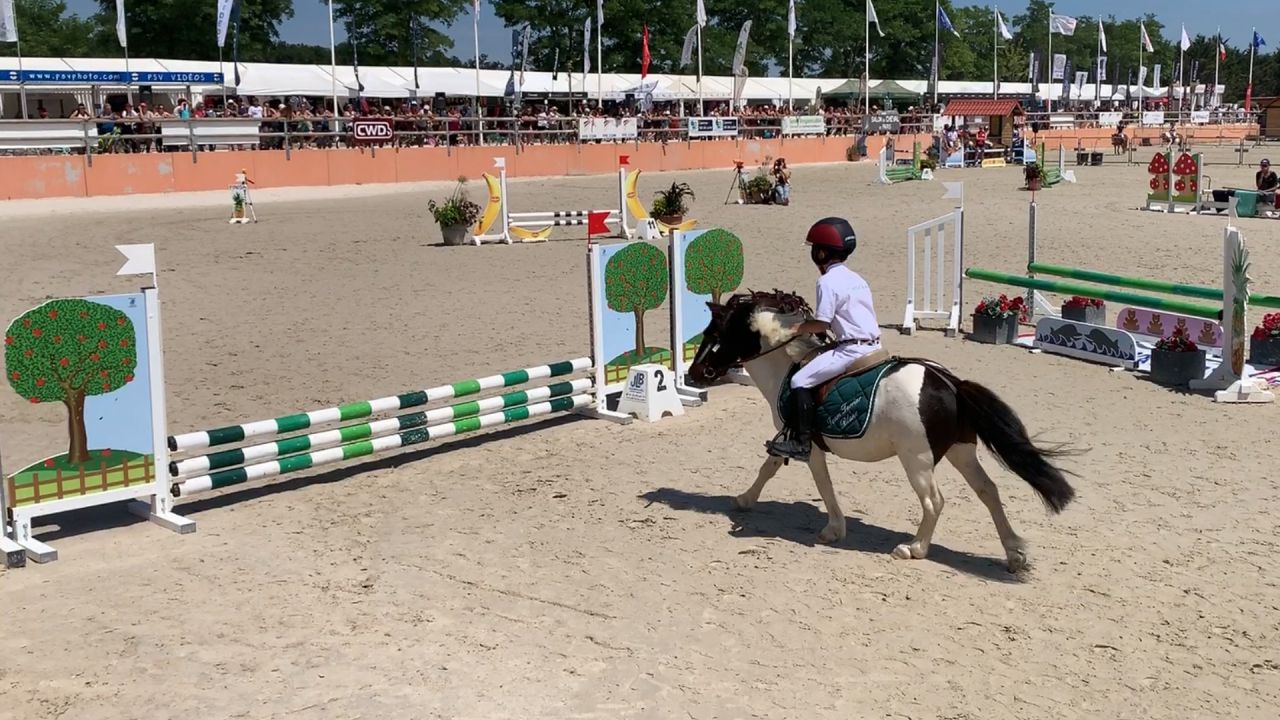 Championnat de France de poney «
