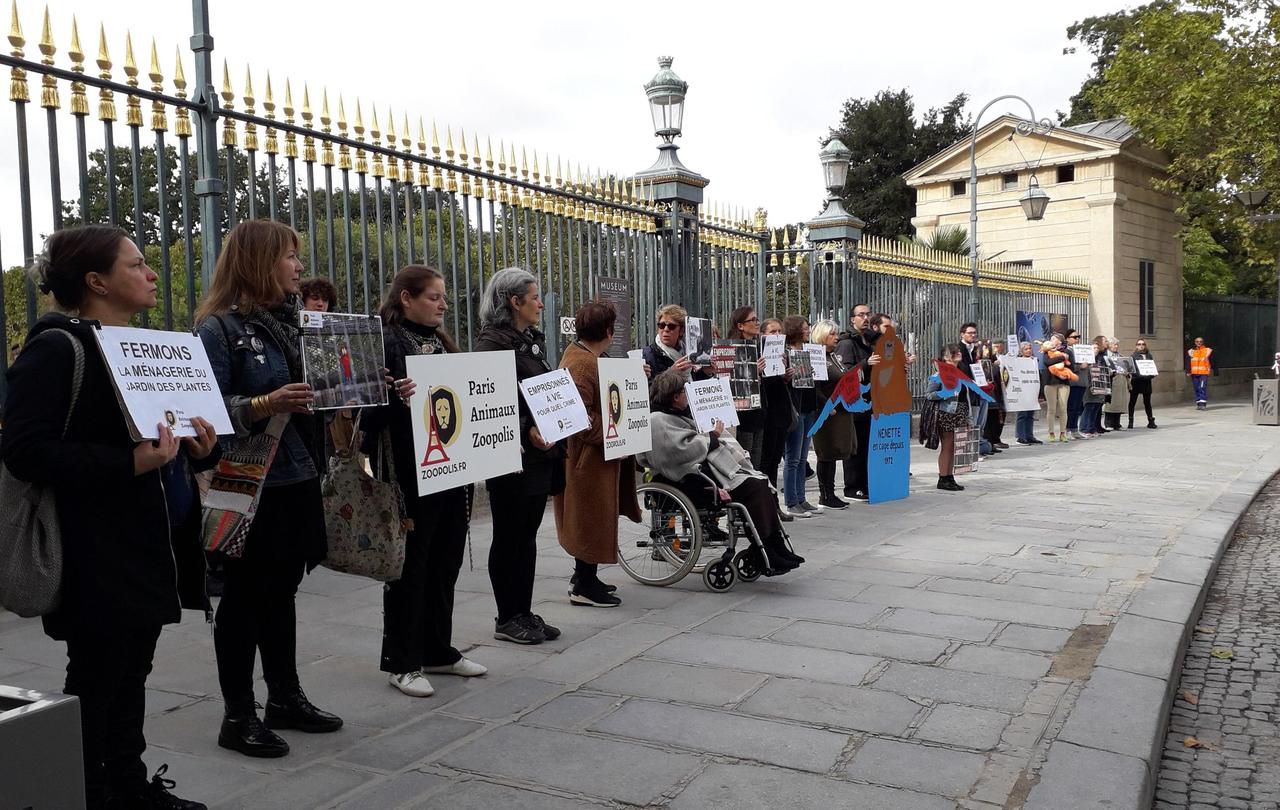 Paris ils veulent fermer la ménagerie du Jardin des plantes Le Parisien Paris ils veulent fermer la ménagerie du Jardin des plantes Le Parisien