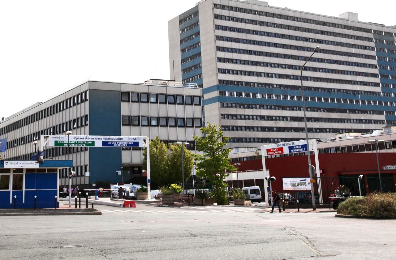 51 Avenue Du Maréchal De Lattre De Tassigny 94010 Créteil Créteil : Michel Herbillon défend la transplantation hépatique à Mondor -  Le Parisien