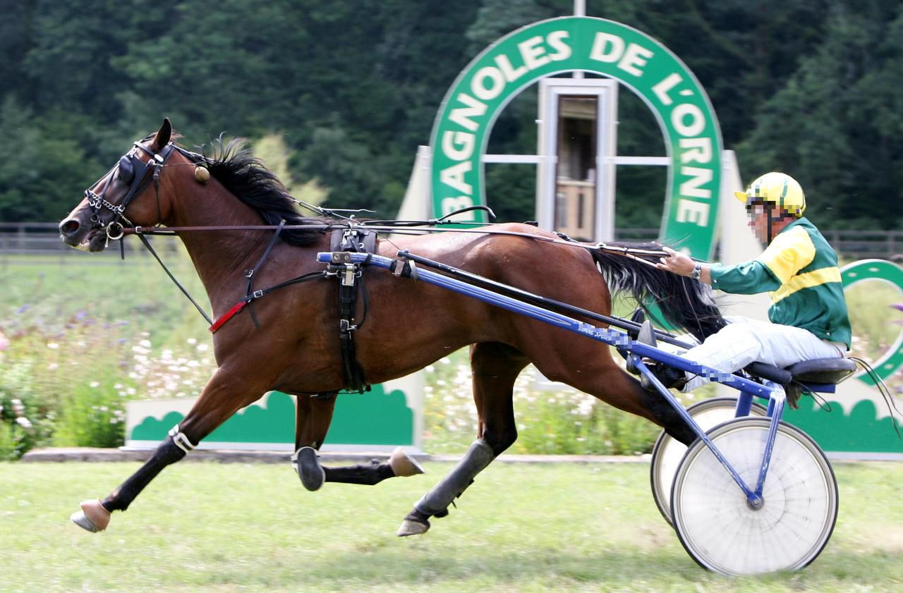 Piece De Harnais Mots Fleches Qui vole les sulkys dans l'Orne ? - Le Parisien