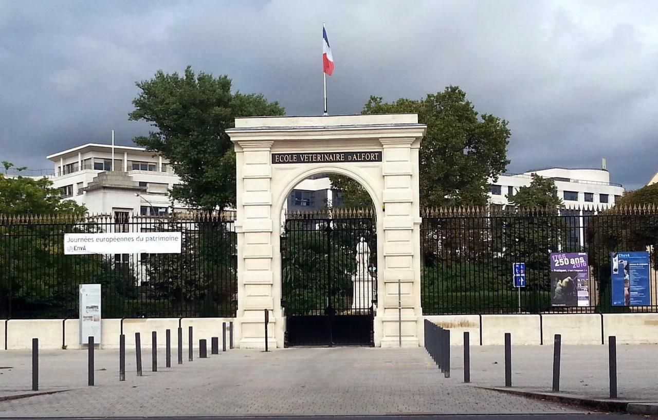 MaisonsAlfort l’école véto reconnue internationalement Le Parisien