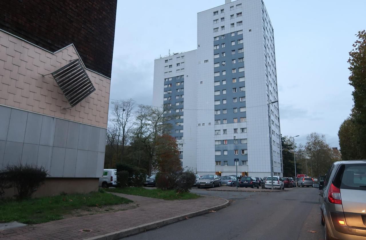Jeune homme poignardé à mort à Mantes-la-Jolie : les explications confuses du sexagénaire - Le Parisien