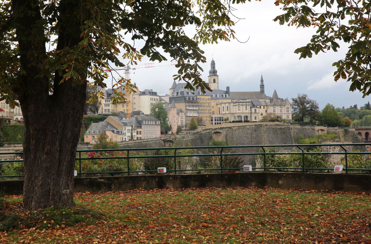 Coronavirus le Luxembourg veut tester toute sa population Le Parisien