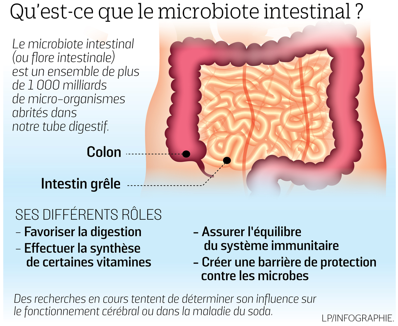 Partie De L Intestin Grêle Mots Fléchés Une expo pour tout comprendre à la flore intestinale - Le Parisien