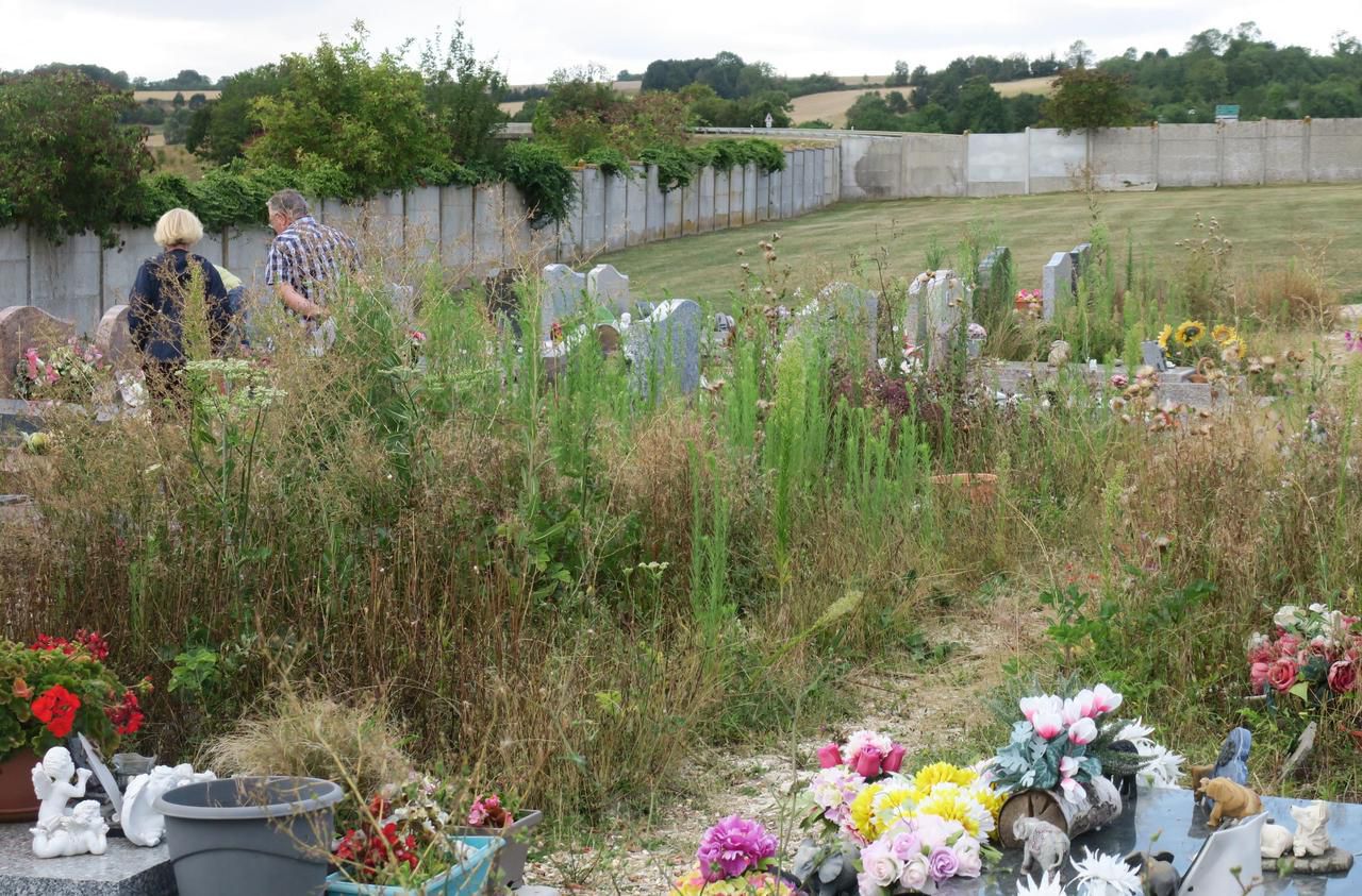 Magny-en-Vexin : l'entretien du cimetière fait débat - Le Parisien