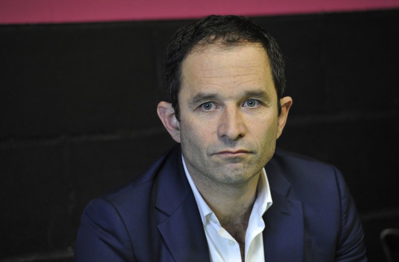 Qui sont les sympathisants de Benoît