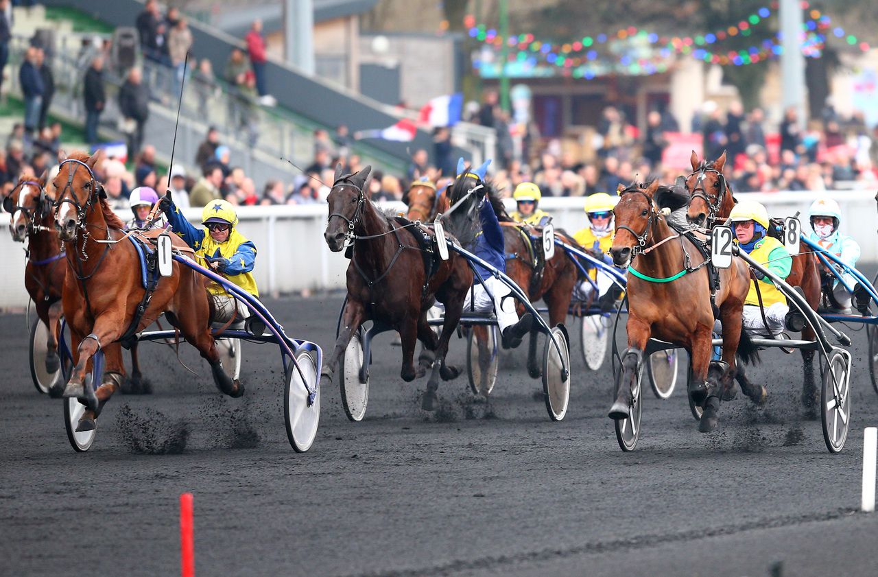 Hippisme le meilleur trotteur de 4 ans battu dimanche à Vincennes Le Parisien