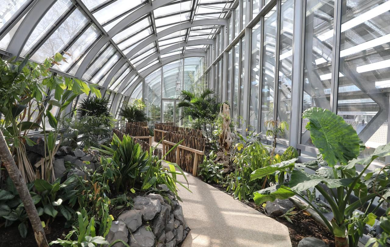 Tour du monde botanique aux nouvelles serres d’Auteuil Le Parisien