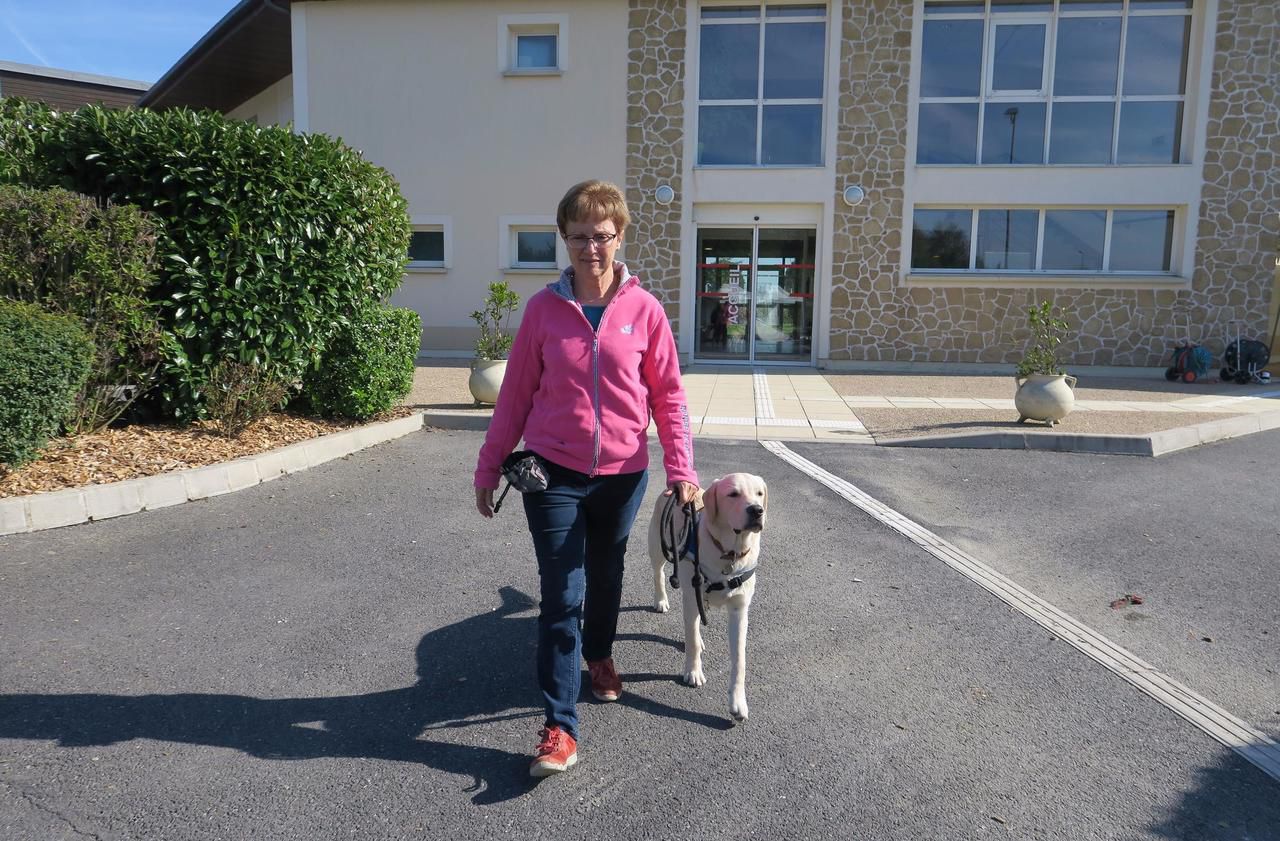Chiens Guides D Aveugles Ile De France VIDÉO. Coubert : à l'école de chiens guides d'aveugles, on a l'esprit de  famille - Le Parisien