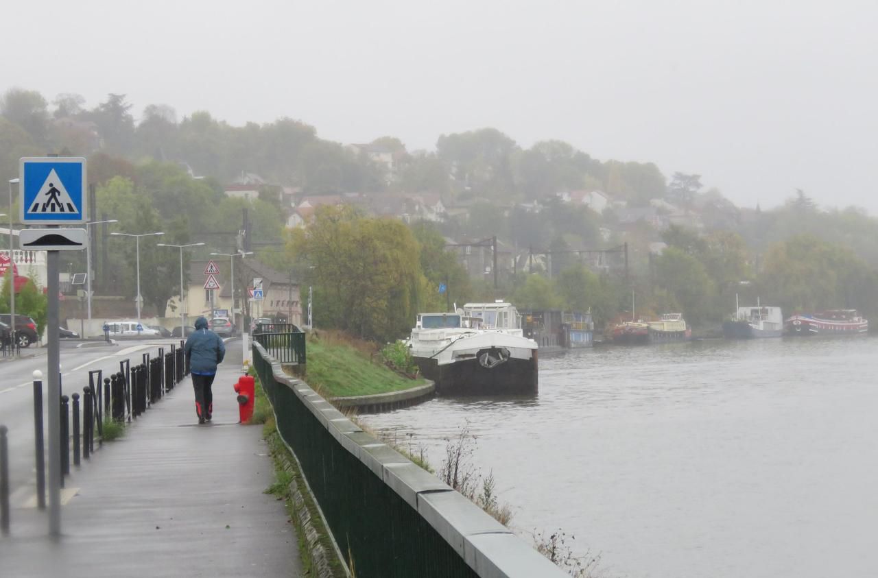 Municipales à Athis-Mons : le projet de pont replace l’environnement au cœur de la campagne - Le Parisien