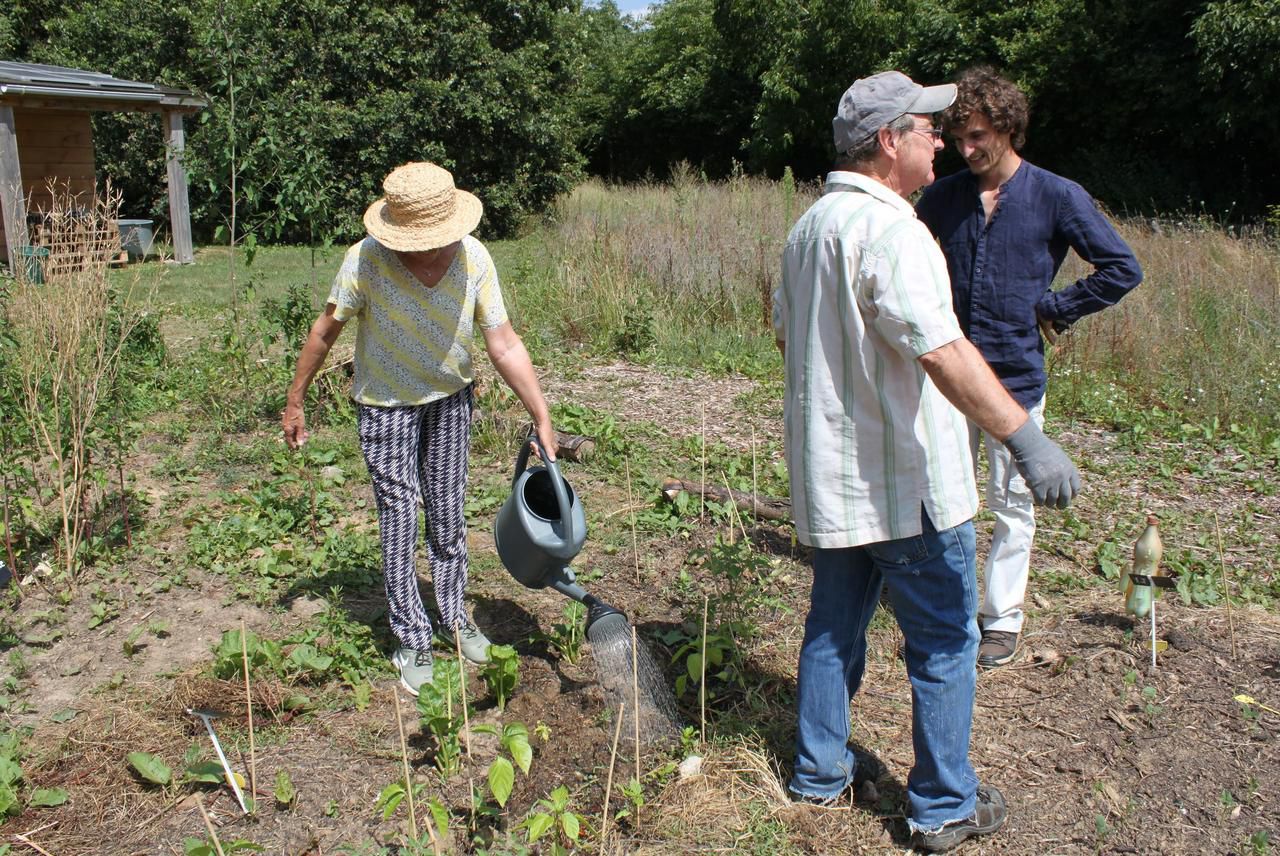 On Recolte Ce Que L On Seme Villepinte : au parc du Sausset, on récolte ce que l’on sème - Le Parisien